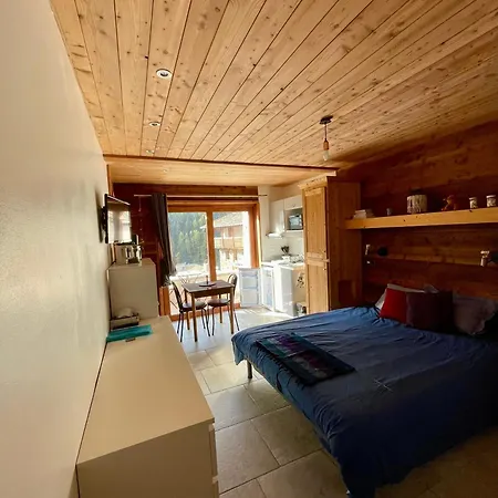 Apartment Grand Sainte Marie *